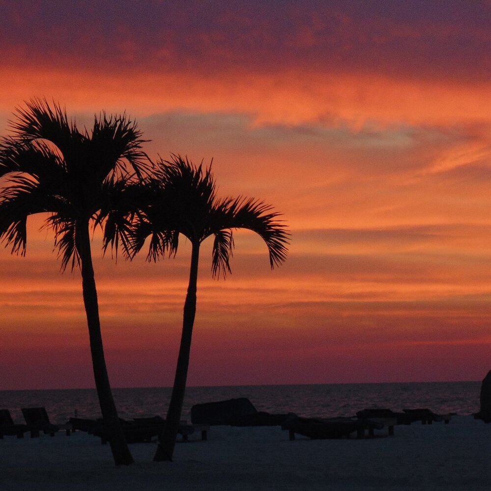 Meet your Posher, Daniela